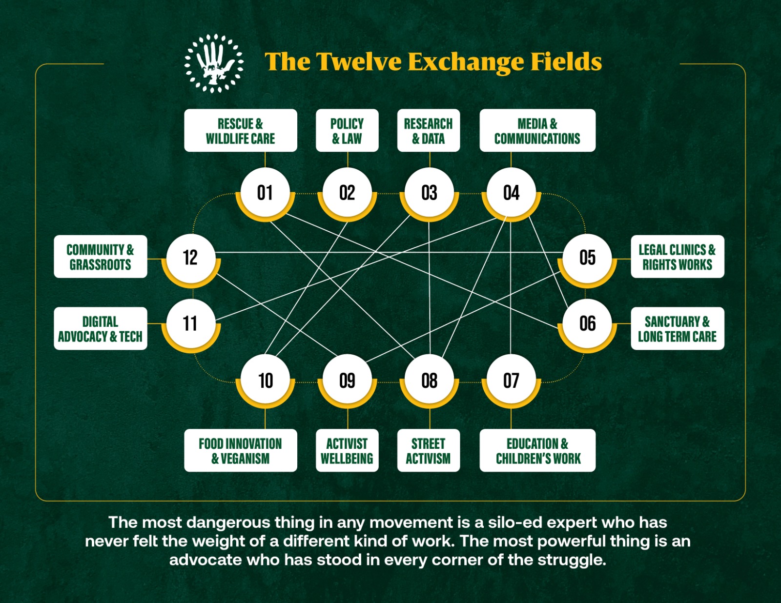 The twelve exchange fields of the Accord